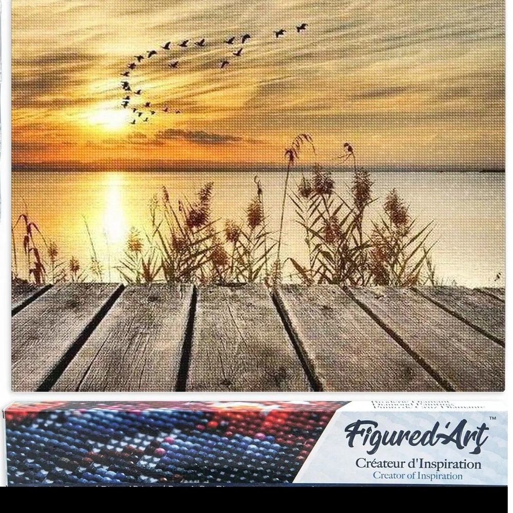 Figured'Art Diamond Painting Kit Sunset Lake‎ Birds DIY Art 16x20 NEW